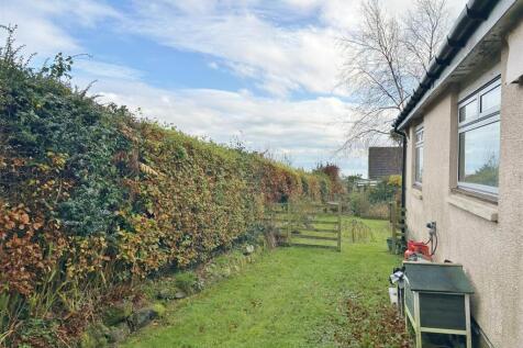 East Side of Wrap Around Garden