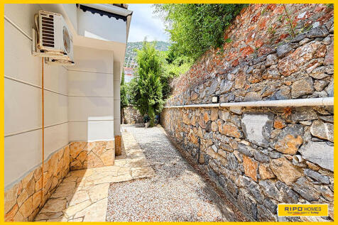 Property Image 54