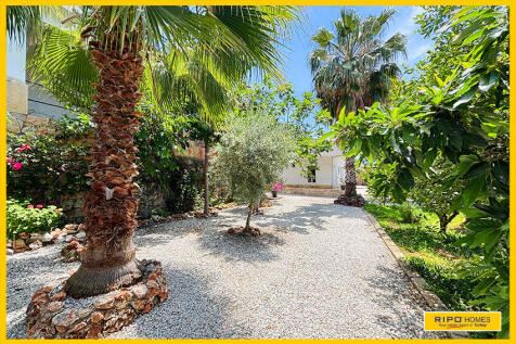 Property Image 61