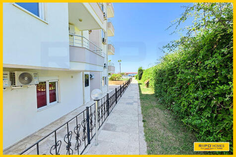 Property Image 42