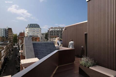 1416 Bruton Place  Roof Terrace 2.JPG