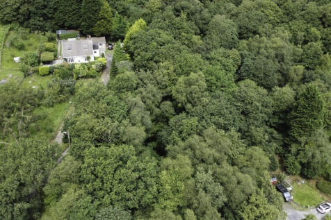 Woodland.