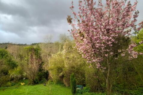 24. Back garden