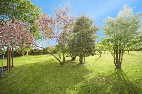 Orchard