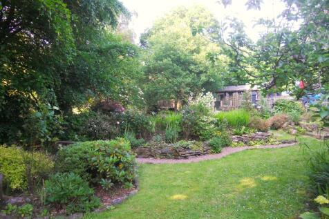 Summer Garden