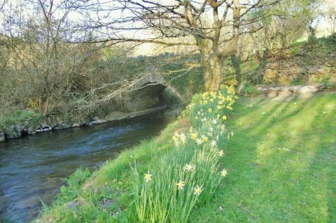 Spring daffodils.JPG