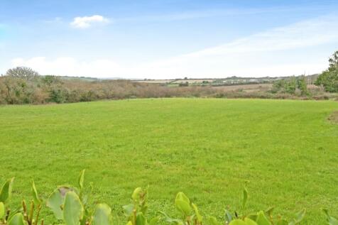 Field Behind