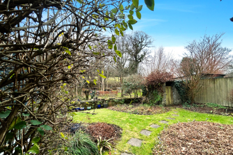 Rear Garden pic2