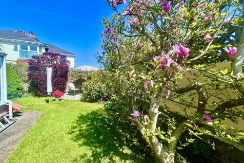 Rear Gardens
