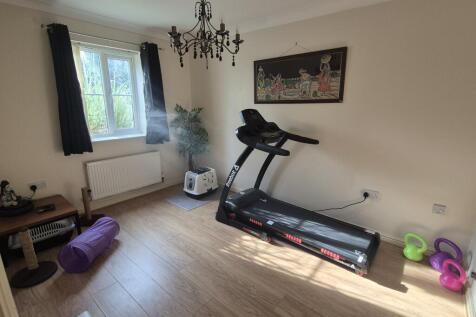 Playroom/Study