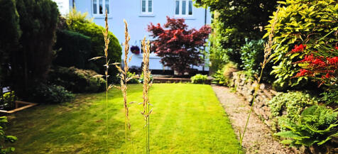 Rear Lawn 4