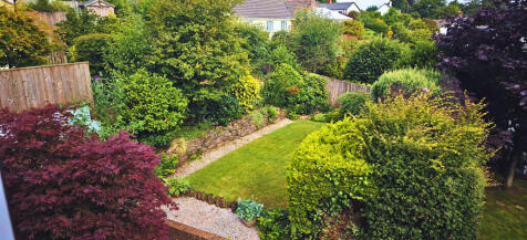 Garden 1