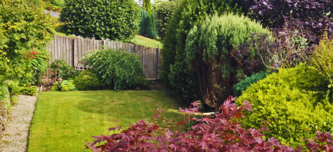 Garden 2