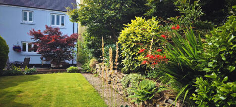 Rear Lawn 3