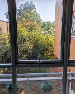View From Living Room