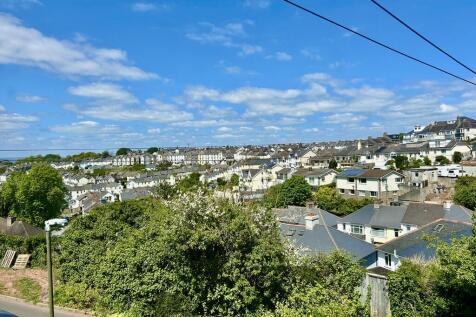 View to Plainmoor and Dartmoor