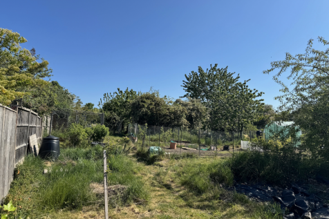 Allotments