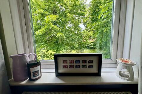 Window View from Lounge