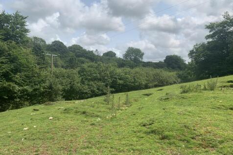 FIELD
