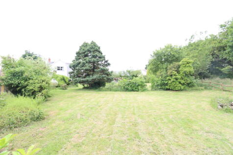 Garden / Orchard