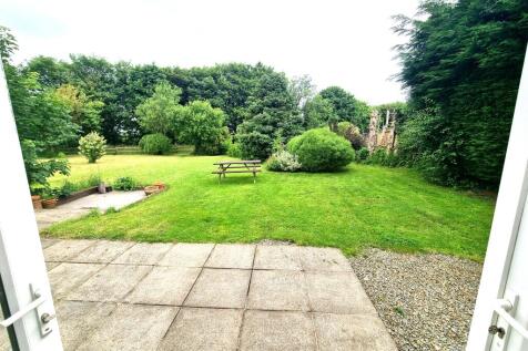 Garden View From Kitchen