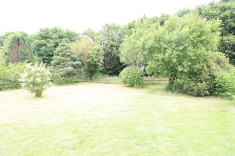 Garden / Orchard