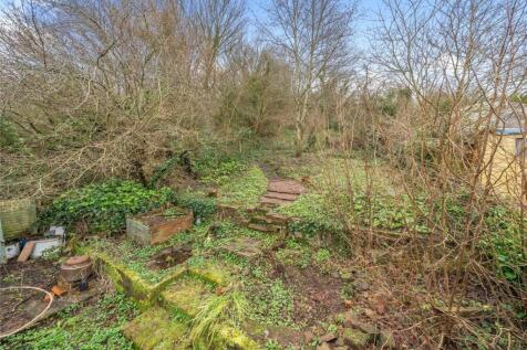 Woodland Garden