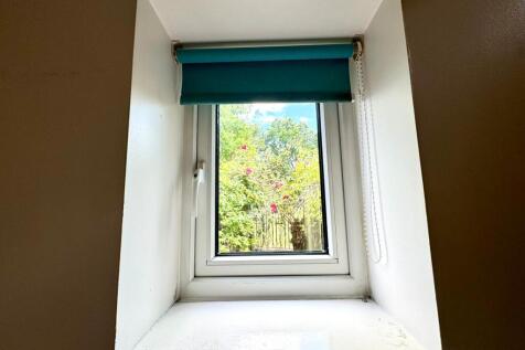 Window View