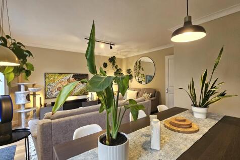 Lounge / Dining room