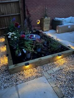 Night Time Garden
