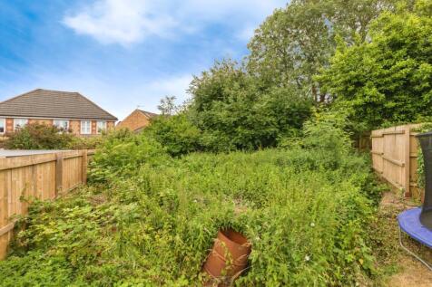 Back Garden
