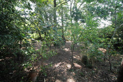 Property Image 33