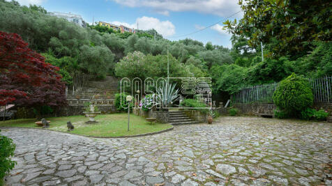 Property Image 54