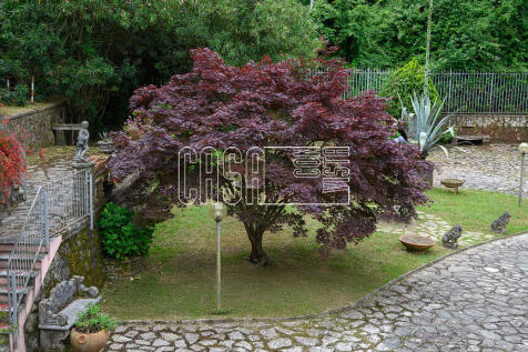 Property Image 57