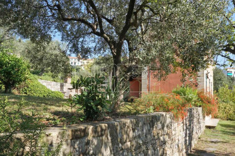 Property Image 40