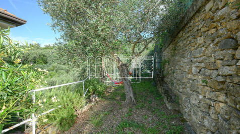 Property Image 47