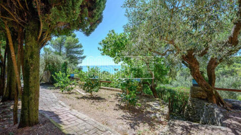 Property Image 44