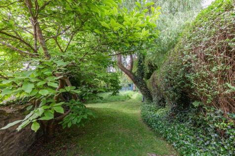 Garden 1.jpg