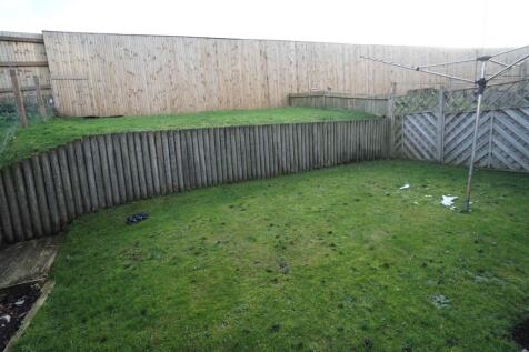 Back Garden