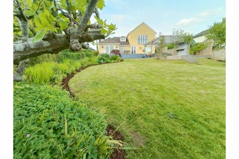 Mature Garden