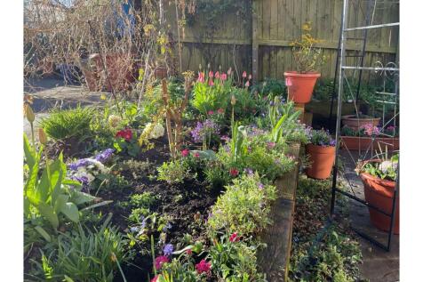 Property Image 34