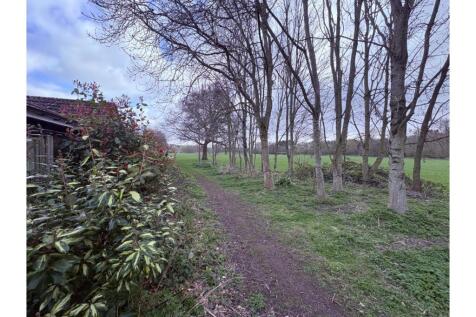 Surrounding Area