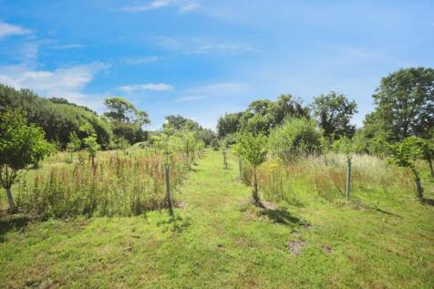 Field