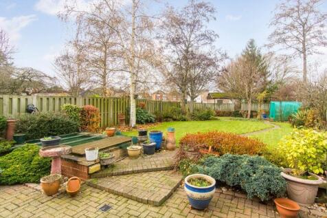 Large Garden