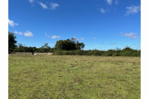 Field