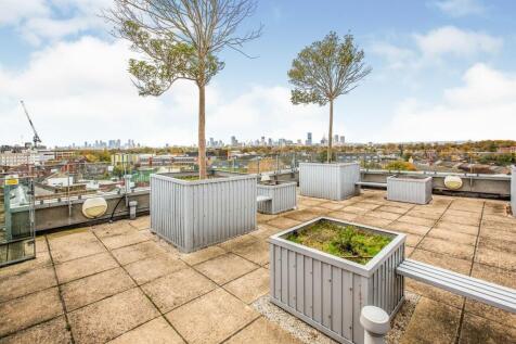 Roof Top Terrace
