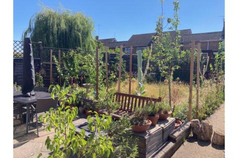 Property Image 14