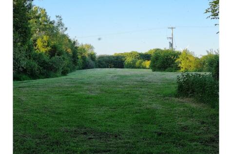Field