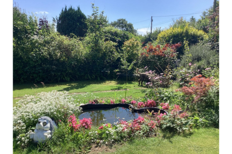Pond