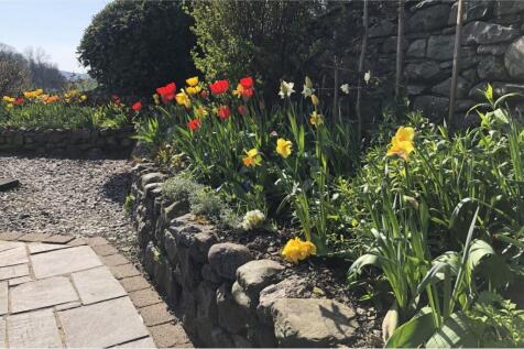 Side Garden